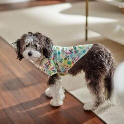 Frisco Flamingo Camp Dog & Cat Shirt 7 Frisco Flamingo Camp Dog & Cat Shirt -Frisco Pet Hub 312176 PT7. AC SS1800 V1673361358