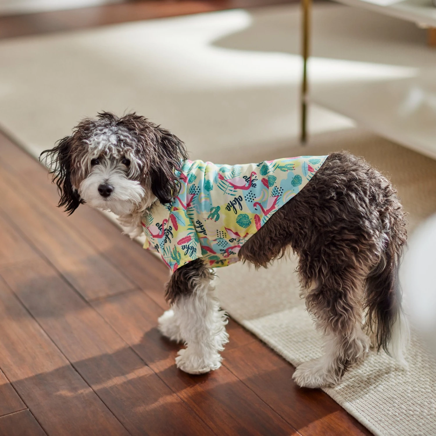 Frisco Flamingo Camp Dog & Cat Shirt Frisco Flamingo Camp Dog & Cat Shirt -Frisco Pet Hub 312176 PT7. AC SS1800 V1673361358