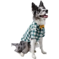 Frisco Boho Plaid Dog & Cat Shirt