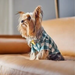Frisco Boho Plaid Dog & Cat Shirt 7 Frisco Boho Plaid Dog & Cat Shirt -Frisco Pet Hub 312184 PT8. AC SS1800 V1644524330