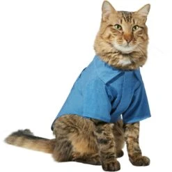 Frisco Chambray Pineapple Dog & Cat Shirt 2 Frisco Chambray Pineapple Dog & Cat Shirt -Frisco Pet Hub 312192 PT2. AC SS1800 V1644528879