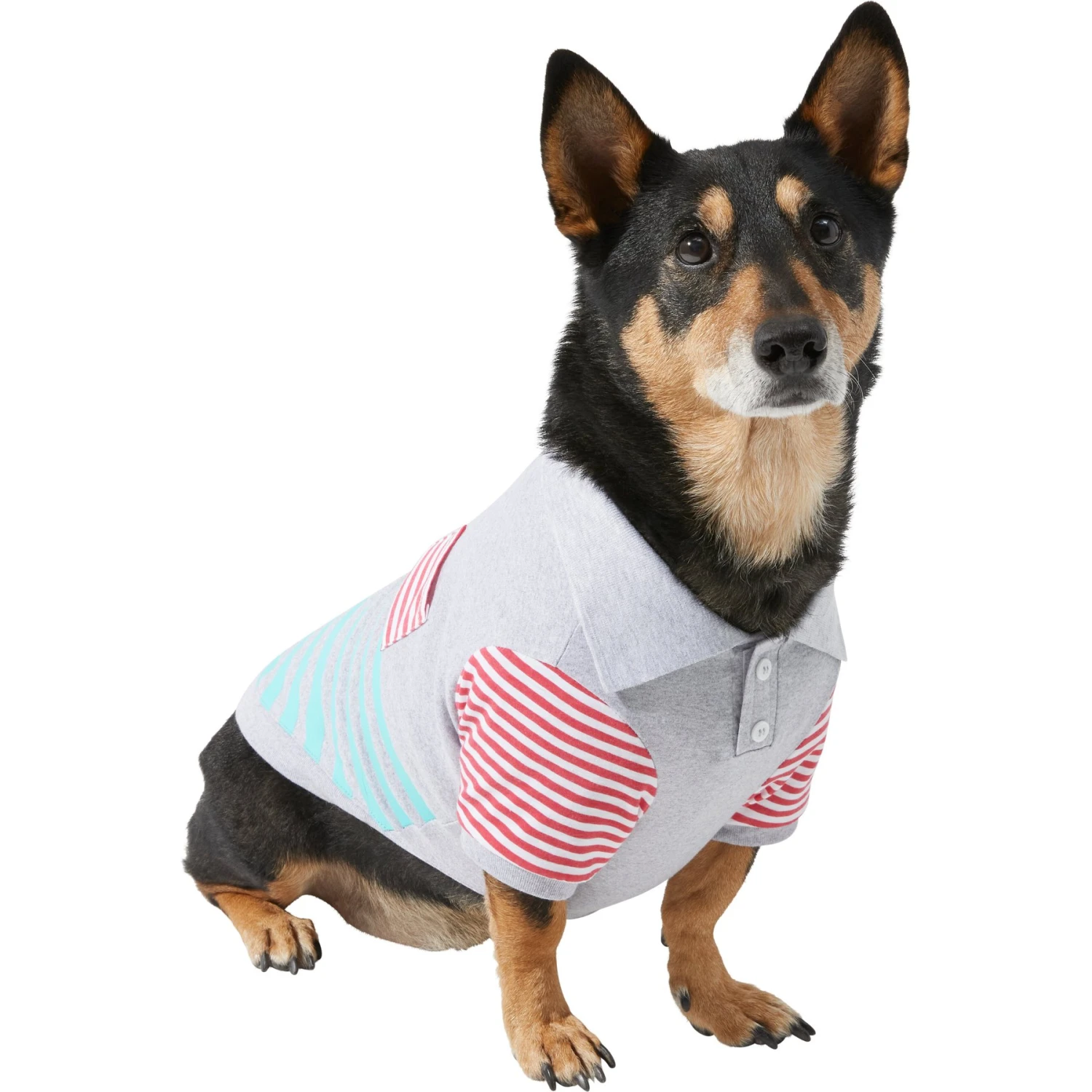 Frisco Striped Polo Dog & Cat Shirt Frisco Striped Polo Dog & Cat Shirt -Frisco Pet Hub 312208 MAIN. AC SS1800 V1644884564