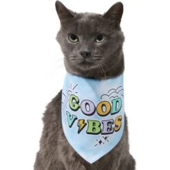 Frisco Good Vibes Dog & Cat Bandana -Frisco Pet Hub 312297 PT2. AC SS1800 V1644885749