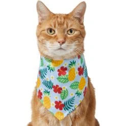 Frisco Hawaiian Pineapple Dog & Cat Bandana -Frisco Pet Hub 312300 PT2. AC SS1800 V1644878643