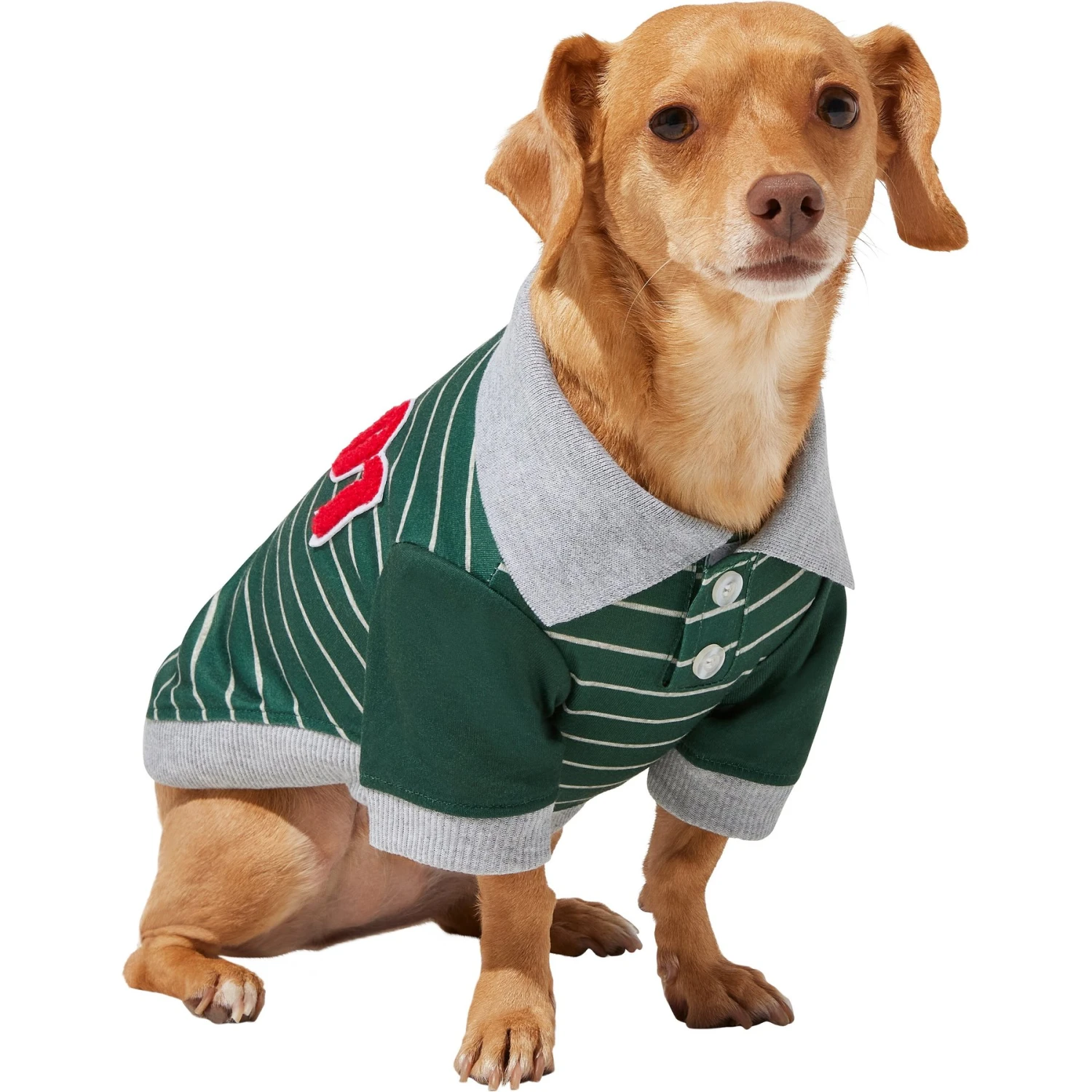 Frisco Green Rugby Dog & Cat Polo Shirt Frisco Green Rugby Dog & Cat Polo Shirt -Frisco Pet Hub 315084 MAIN. AC SS1800 V1646442779