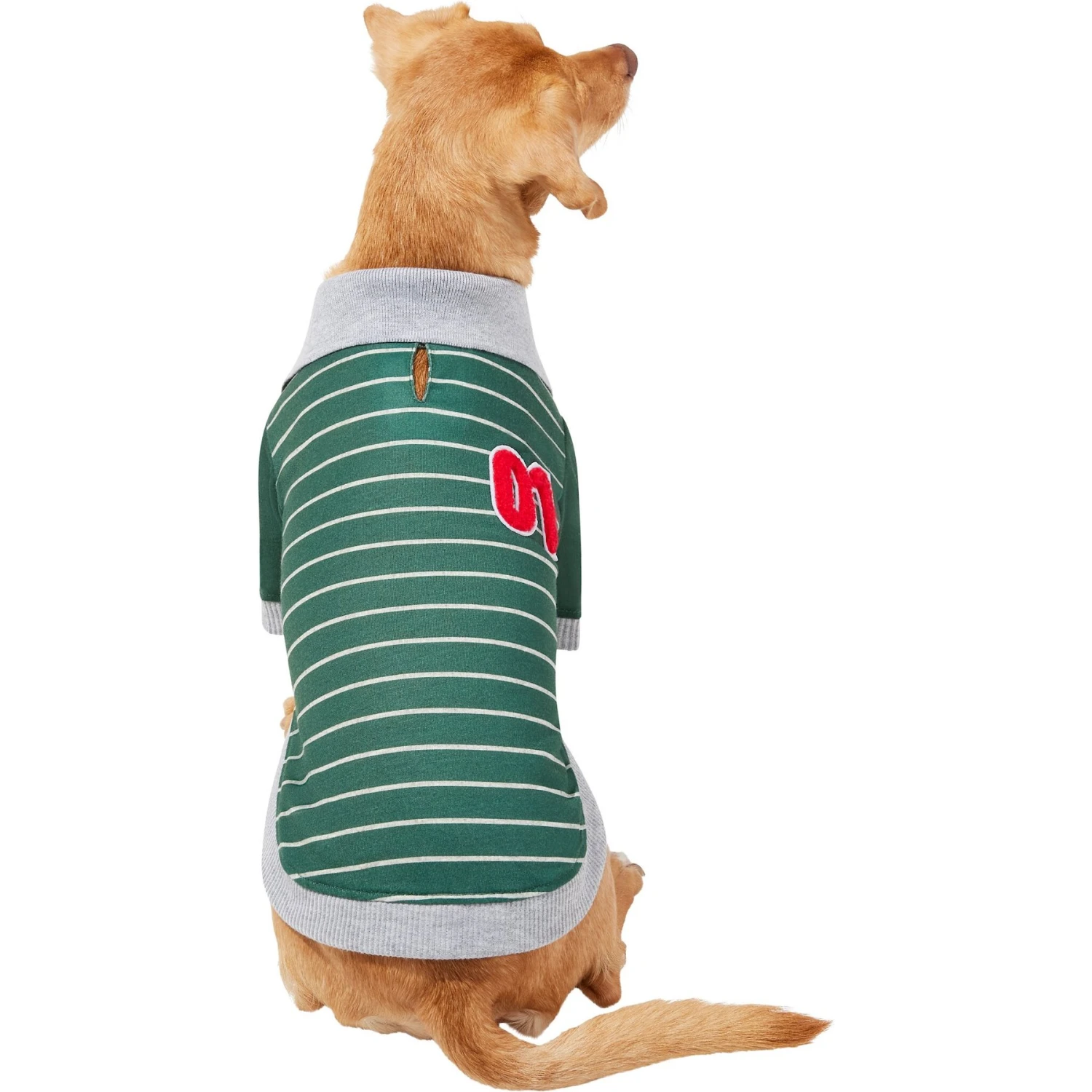 Frisco Green Rugby Dog & Cat Polo Shirt Frisco Green Rugby Dog & Cat Polo Shirt -Frisco Pet Hub 315084 PT3. AC SS1800 V1646442228