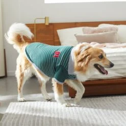 Frisco Green Rugby Dog & Cat Polo Shirt 8 Frisco Green Rugby Dog & Cat Polo Shirt -Frisco Pet Hub 315084 PT8. AC SS1800 V1646436749