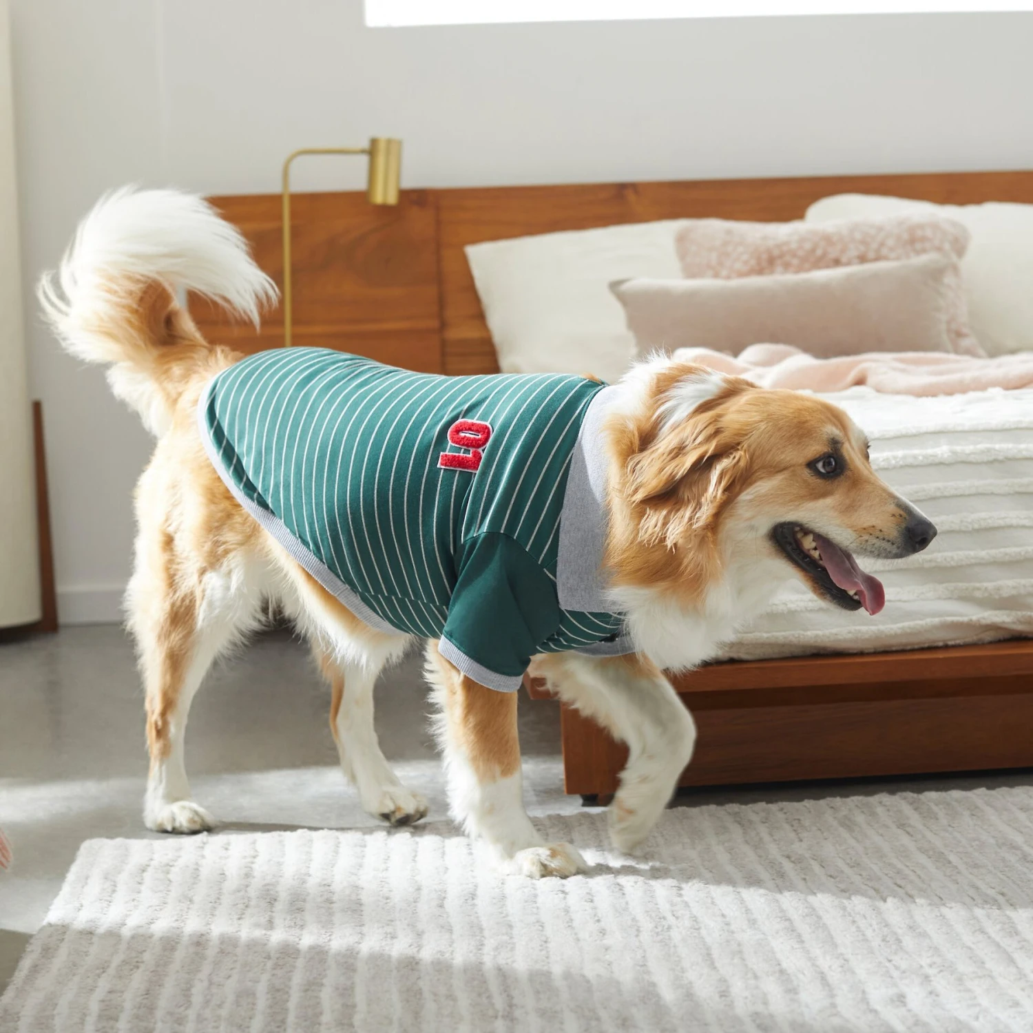 Frisco Green Rugby Dog & Cat Polo Shirt Frisco Green Rugby Dog & Cat Polo Shirt -Frisco Pet Hub 315084 PT8. AC SS1800 V1646436749