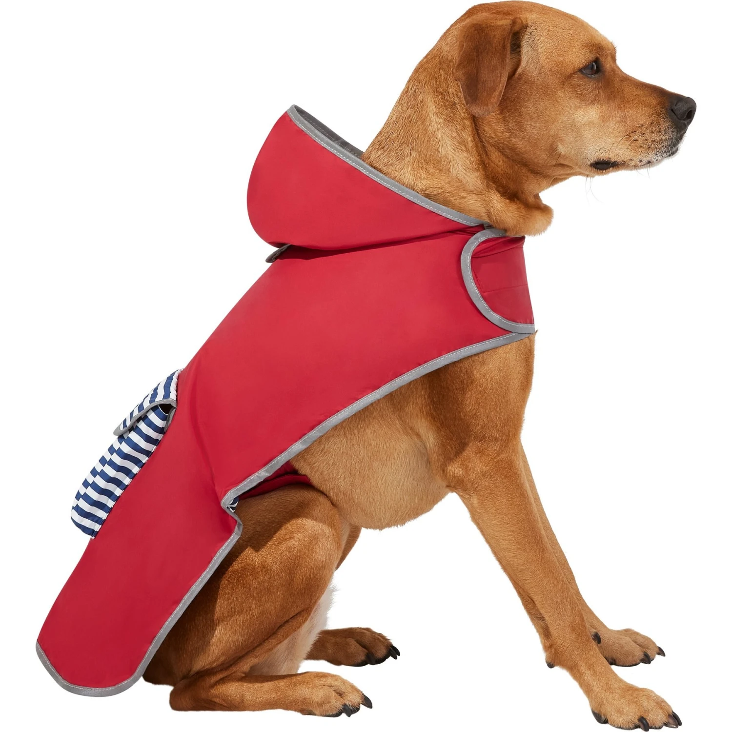 Frisco Lightweight Red Reversible Packable Dog Raincoat Frisco Lightweight Red Reversible Packable Dog Raincoat -Frisco Pet Hub 315109 MAIN. AC SS1800 V1646434946