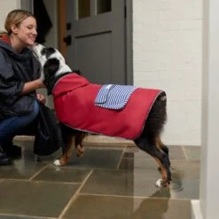 Frisco Lightweight Red Reversible Packable Dog Raincoat 7 Frisco Lightweight Red Reversible Packable Dog Raincoat -Frisco Pet Hub 315109 PT8. AC SS1800 V1646437779
