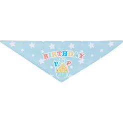 Frisco Birthday Pup Dog & Cat Bandana -Frisco Pet Hub 315130 PT5. AC SS1800 V1646434611
