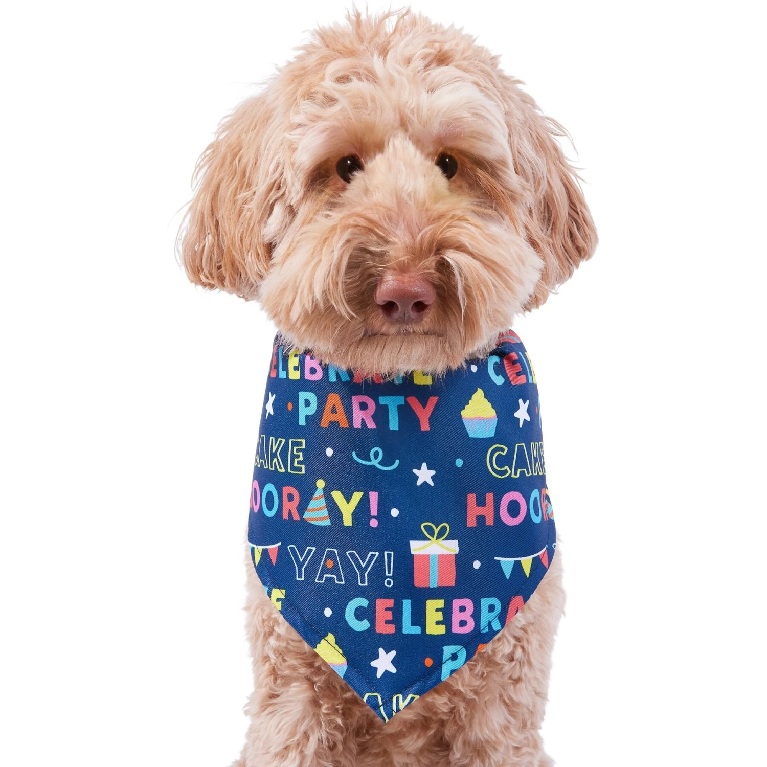 Frisco Celebration Dog & Cat Bandana Frisco Celebration Dog & Cat Bandana -Frisco Pet Hub 315133 MAIN. AC SS1800 V1646438946