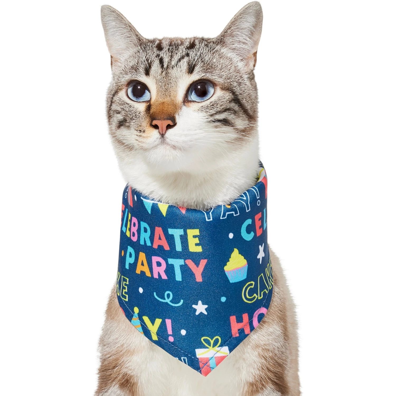 Frisco Celebration Dog & Cat Bandana Frisco Celebration Dog & Cat Bandana -Frisco Pet Hub 315133 PT2. AC SS1800 V1646439780