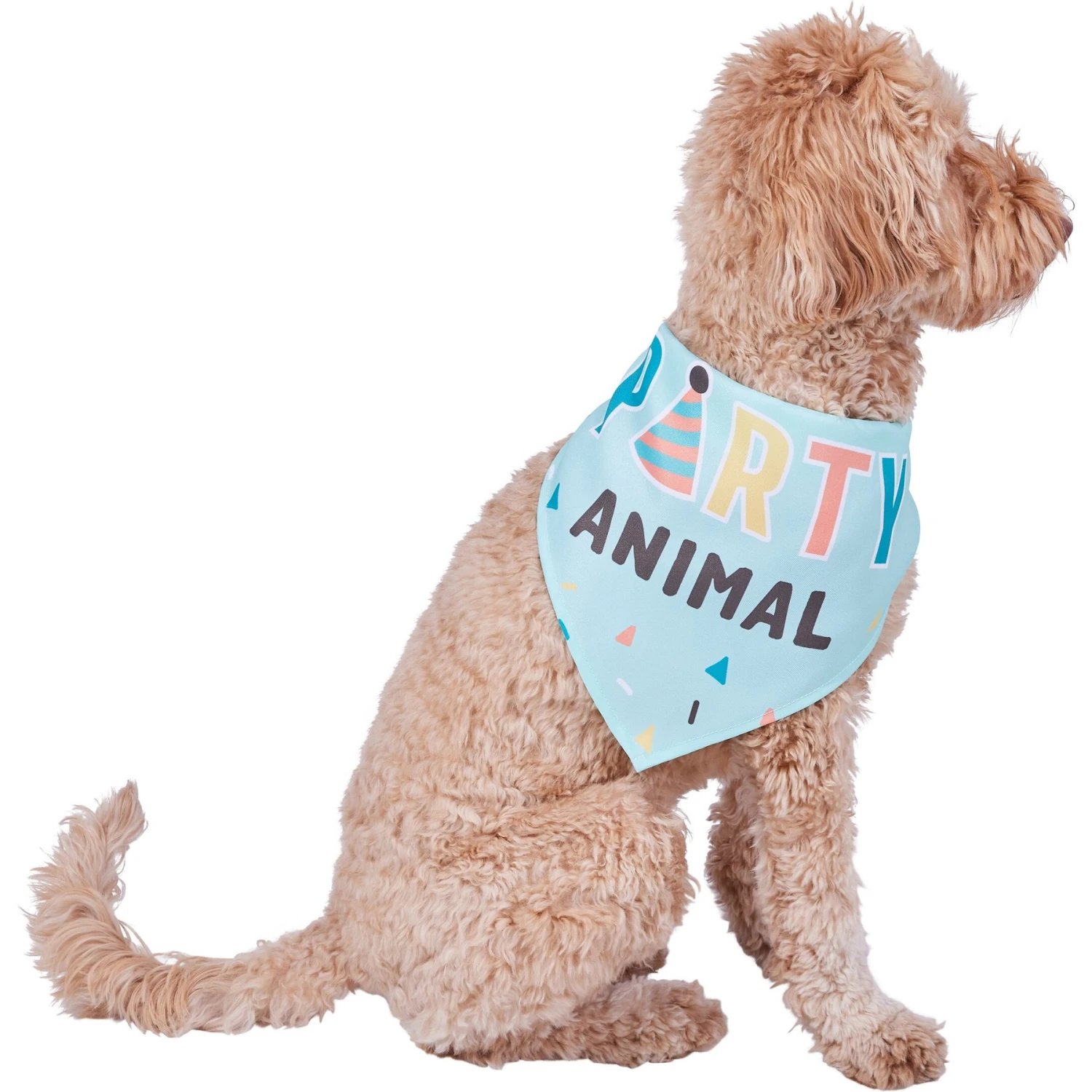 Frisco Party Animal Dog & Cat Bandana Frisco Party Animal Dog & Cat Bandana -Frisco Pet Hub 315136 MAIN. AC SS1800 V1646438241