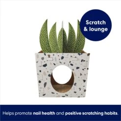 Frisco Potted Succulent Cardboard Cat House 2 Frisco Potted Succulent Cardboard Cat House -Frisco Pet Hub 317723 PT2. AC SS1800 V1689342085