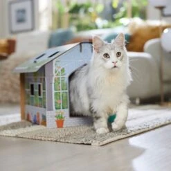 Frisco Greenhouse Cardboard Cat House -Frisco Pet Hub 317737 PT4. AC SS1800 V1688677247