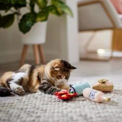 Frisco Mother's Day Gifts Plush Cat Toy With Catnip, 3 Count 2 Frisco Mother's Day Gifts Plush Cat Toy With Catnip, 3 Count -Frisco Pet Hub 327027 PT3. AC SS1800 V1646948055