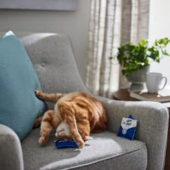 Frisco Father's Day Card Felt Cat Toy With Catnip, 2 Count 3 Frisco Father's Day Card Felt Cat Toy With Catnip, 2 Count -Frisco Pet Hub 327029 PT3. AC SS1800 V1648667305