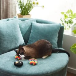 Frisco Pride Buttons Plush Cat Toy With Catnip, 3 Count -Frisco Pet Hub 331688 PT3. AC SS1800 V1647355746