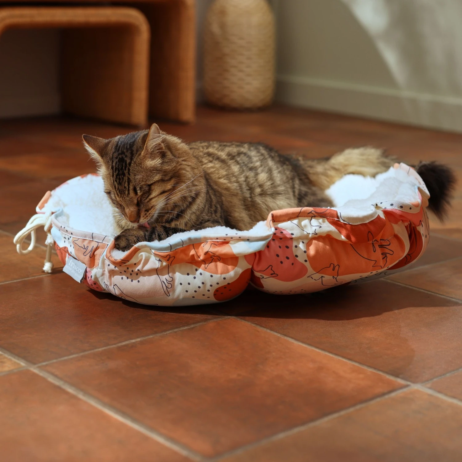 Frisco Calico Cat Design Adjustable Cat Bolster Bed Frisco Calico Cat Design Adjustable Cat Bolster Bed -Frisco Pet Hub 333860 MAIN. AC SS1800 V1658718002