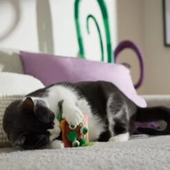 Frisco Haunted Burger Plush Cat Toy With Catnip -Frisco Pet Hub 344056 PT3. AC SS1800 V1657657030