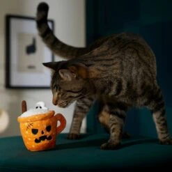 Frisco Halloween Spooky Pumpkin Spice Latte Plush Cat Toy With Catnip -Frisco Pet Hub 344080 PT3. AC SS1800 V1657657033