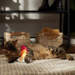 Frisco Fall Campfire Plush Cat Toy With Catnip -Frisco Pet Hub 344178 PT3. AC SS1800 V1659023182