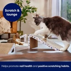 Frisco Nesting Cat Scratcher Toy With Catnip, Modern Terrazzo -Frisco Pet Hub 347213 PT3. AC SS1800 V1659699272