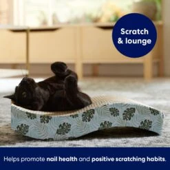 Frisco Wave Cat Scratcher Toy With Catnip, Tropical Paradise -Frisco Pet Hub 347221 PT3. AC SS1800 V1659699263