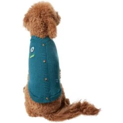 Frisco Teal Button Down Dog & Cat Sweater -Frisco Pet Hub 353580 PT2. AC SS1800 V1659006937