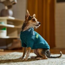 Frisco Teal Button Down Dog & Cat Sweater -Frisco Pet Hub 353580 PT7. AC SS1800 V1660749932