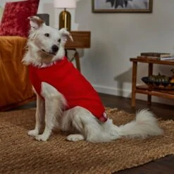 Frisco Plaid Cable Knit Dog & Cat Sweater -Frisco Pet Hub 353611 PT7. AC SS1800 V1660749926