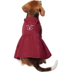 Frisco Sleepy Face Dog & Cat Dress -Frisco Pet Hub 353657 PT2. AC SS1800 V1659008189