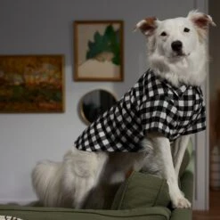Frisco Black Plaid Dog & Cat Shirt -Frisco Pet Hub 353682 PT7. AC SS1800 V1660749685