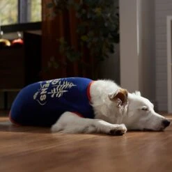 Frisco Shed Happens Dog & Cat T-Shirt -Frisco Pet Hub 353698 PT7. AC SS1800 V1660749629