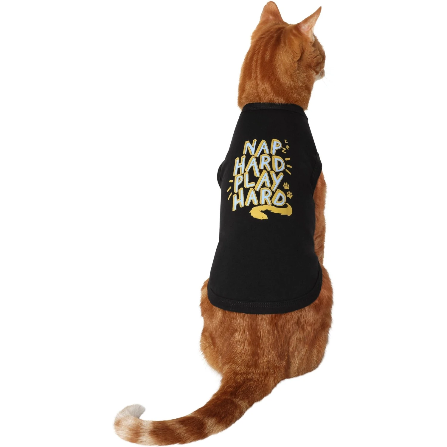 Frisco Nap Hard Play Hard Dog & Cat T-Shirt Frisco Nap Hard Play Hard Dog & Cat T-Shirt -Frisco Pet Hub 353713 MAIN. AC SS1800 V1659010333