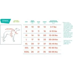 Frisco Little Champ Dog & Cat T-Shirt -Frisco Pet Hub 353722 PT1. AC SS1800 V1658923978