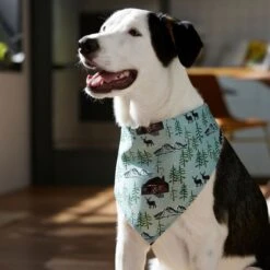 Frisco Moose Lodge Dog & Cat Bandana -Frisco Pet Hub 353774 PT6. AC SS1800 V1660749803