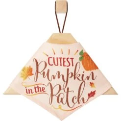 Frisco Cutest Pumpkin In The Patch Dog & Cat Bandana -Frisco Pet Hub 353777 PT4. AC SS1800 V1663343389
