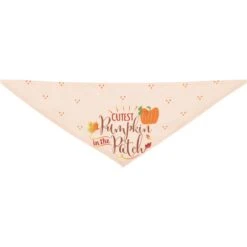 Frisco Cutest Pumpkin In The Patch Dog & Cat Bandana -Frisco Pet Hub 353777 PT5. AC SS1800 V1659725687