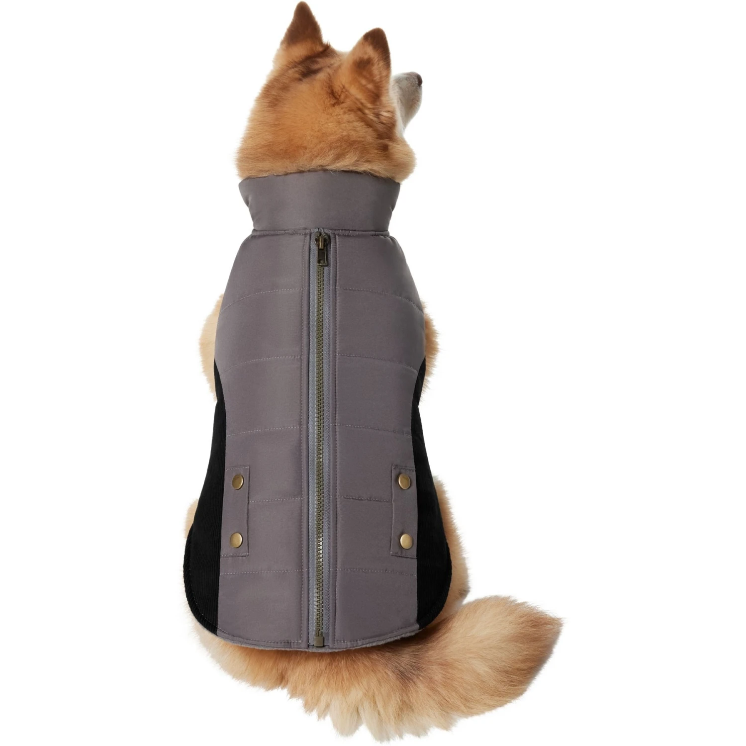 Frisco Mediumweight Faux Zipper Dog & Cat Jacket Frisco Mediumweight Faux Zipper Dog & Cat Jacket -Frisco Pet Hub 353817 PT2. AC SS1800 V1659010334