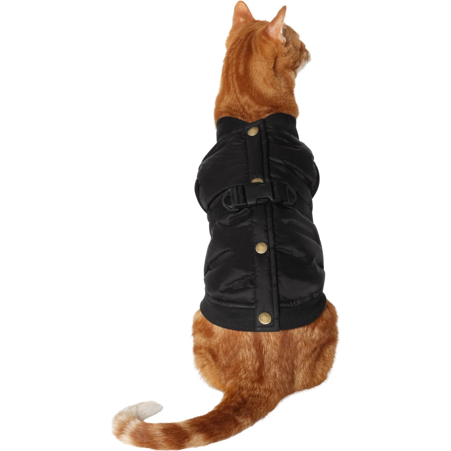 Frisco Lightweight Belted Puffer Dog & Cat Jacket Frisco Lightweight Belted Puffer Dog & Cat Jacket -Frisco Pet Hub 353825 MAIN. AC SS1800 V1659012619