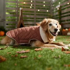 Frisco Mid-Heavyweight Fleece Lined Quilted Dog & Cat Coat -Frisco Pet Hub 353877 PT7. AC SS1800 V1660750171