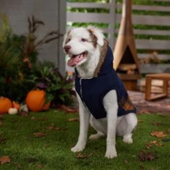 Frisco Mid-Heavyweight Plaid Fleece Lined Dog & Cat Coat -Frisco Pet Hub 353885 PT7. AC SS1800 V1660749836