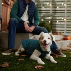 Frisco Mediumweight Reversible Dog & Cat Coat -Frisco Pet Hub 353932 PT7. AC SS1800 V1660749442