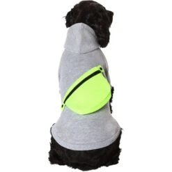 Frisco Dog & Cat Hoodie With Removable Fanny Pack 2 Frisco Dog & Cat Hoodie With Removable Fanny Pack -Frisco Pet Hub 353965 PT2. AC SS1800 V1659008241