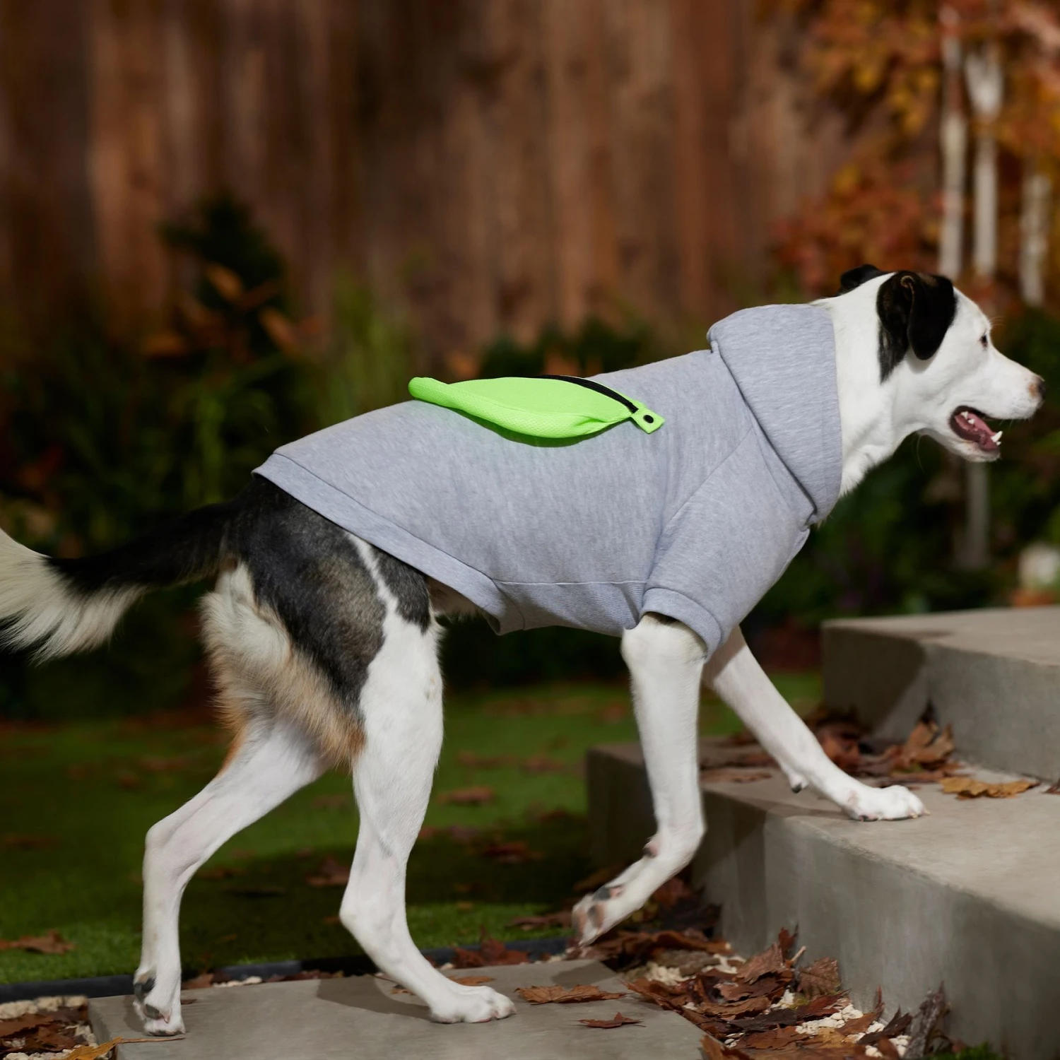 Frisco Dog & Cat Hoodie with Removable Fanny Pack Frisco Dog & Cat Hoodie With Removable Fanny Pack -Frisco Pet Hub 353965 PT7. AC SS1800 V1660749475