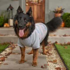 Frisco Pink Tie Dye Dog & Cat Hoodie -Frisco Pet Hub 353981 PT7. AC SS1800 V1660749835