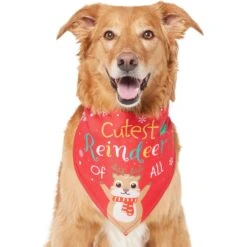 Frisco Cutest Reindeer Of All Dog & Cat Bandana -Frisco Pet Hub 357931 PT2. AC SS1800 V1660756046
