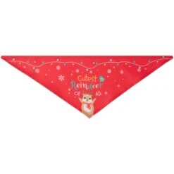 Frisco Cutest Reindeer Of All Dog & Cat Bandana -Frisco Pet Hub 357931 PT5. AC SS1800 V1660756046